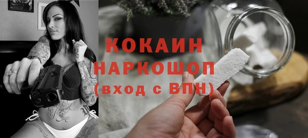крисы Верея