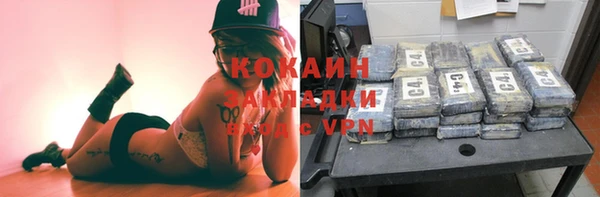 крисы Верея