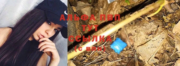 крисы Верея