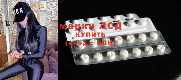 крисы Верея
