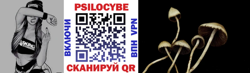 Псилоцибиновые грибы GOLDEN TEACHER  Новороссийск 